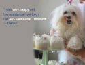 AKC Good Dog Help Line Testimonial