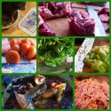Raw Dog Food, Raw Food Diet for Dogs