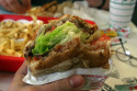 Is Hill's Ideal Balance Fast Food For Dogs