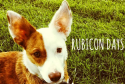 Rubicon Days, Pet Blogger Gift Exchange