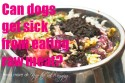 Can Dogs Get Sick from Eating Raw Meat
