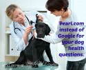 Pearl.com instead of Google for your dog health questions
