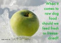 Fresh or Freeze Dried Raw Dog Food
