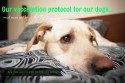 Our Vaccination Protocol for our Dogs