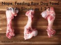 Raw Dog Food Isn't as Simple as 1 2 3