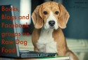 Books and Blogs on Raw Dog Food