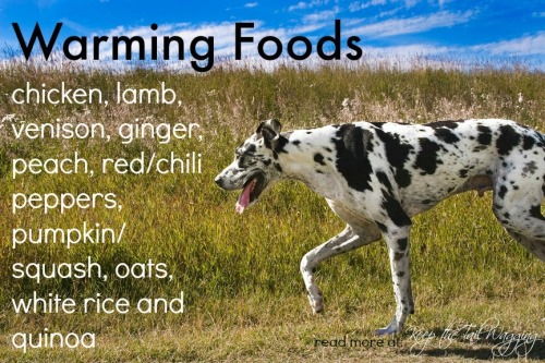 Chinese Medicine, Warming Foods,  Raw Dog Food (2)