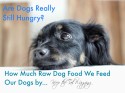 How Much Raw Dog Food to Feed Dogs