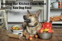 Keeping Our Kitchen Clean When Feeding Raw