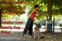 Smaller, Less Smell Poop on Raw Dog Food